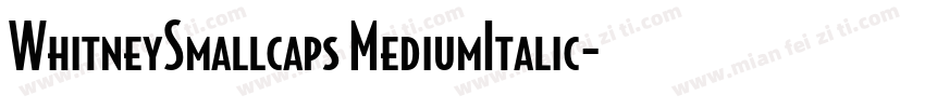 WhitneySmallcaps MediumItalic字体转换